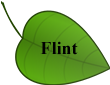 Flint2 Leaf